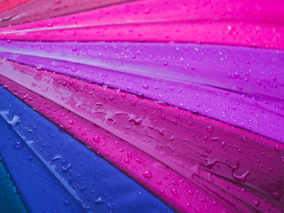 Close-up of colorful umbrellas and raindrops, Top view