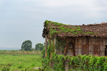 Fototapeta na wymiar Old abandoned straw house against cloudy sky