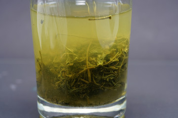 Jiaogulan herb is also often referred to as the herb of immortality. 