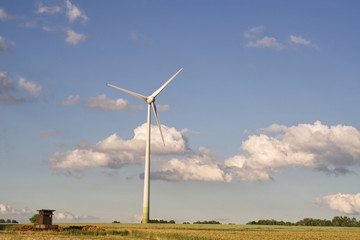 wind turbines in the field