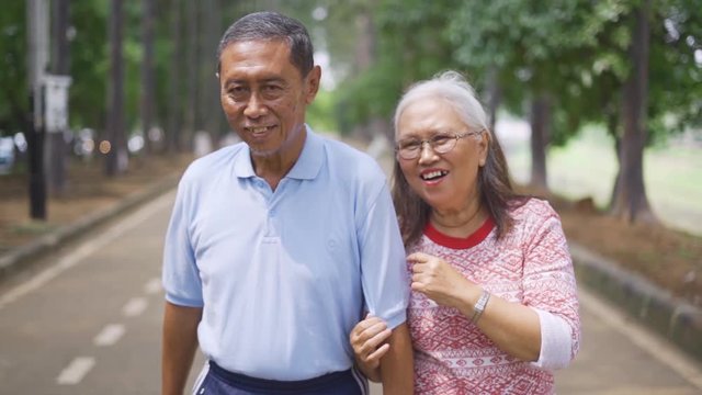 Slow motion of happy elderly couple walking together while talking and smiling at the park