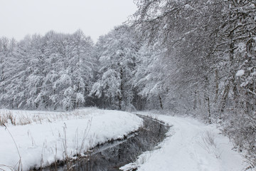 bavarian winter landscape, little pond with snow