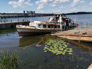 boats in harbor