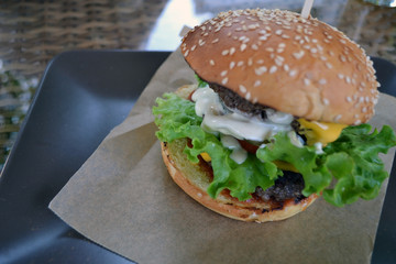 fresh tasty Burger, isolated. close up