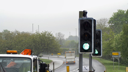 pedestrian crossing green traffic light in british town on overcast rainy day