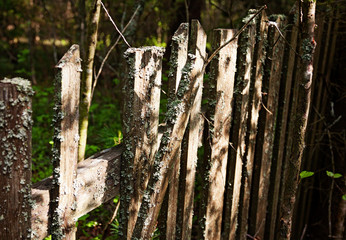 broken fence in the forest