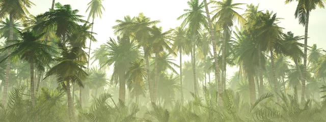 Keuken spatwand met foto Jungle in de mist bij zonsopgang, palmbomen in de nevel © ustas