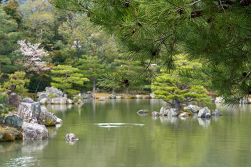 Naklejka na ściany i meble A lake with islands in the Golden pavilion park. Black pine trees are growing on the islands.