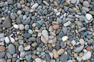 boulder stone on the beach top view close up. gray pebbles of different shades and sizes background.
