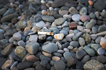 Cigarette butt on a pebble beach close-up. Pollution and bad habits associated with smoking.