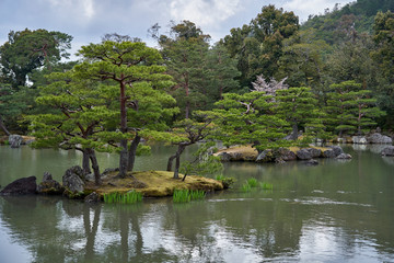 Fototapeta na wymiar A lake with islands in the Golden pavilion park. Black pine trees are growing on the islands.