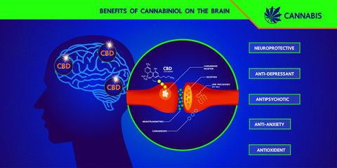 Cannabis benefits for health vector illustration.