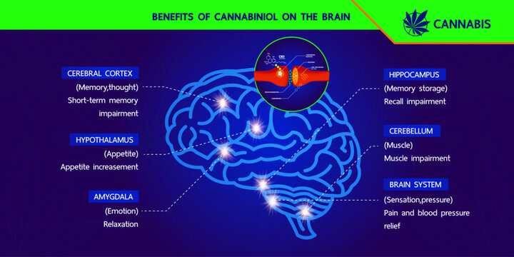 Cannabis benefits for health vector illustration.