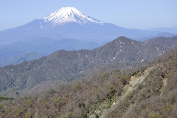 春の丹沢より望む富士山