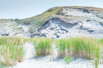 Sand dunes of the Curonian spit also known as 