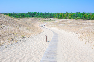 Sand dunes of the Curonian spit also known as 