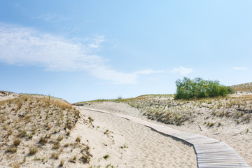 Sand dunes of the Curonian spit also known as "Dead or Grey dunes". Wooden trail runs in desert plants of wild untouched nature. This place the highest drifting sand dunes in Europe. Nida, Lithuania.