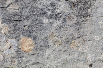 Grayish Weathered Natural Stone Texture