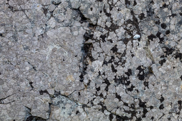 Grayish Weathered Natural Stone Texture
