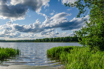 Summer day at a forest lake