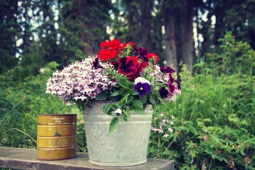 flowers in a metal pot