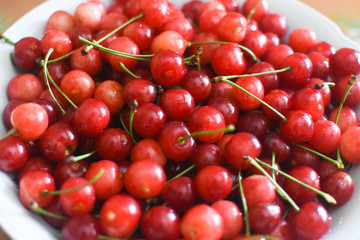 Sweet cherries in a white bowl on table. Cherry, first spring fruit