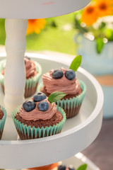 Chocolate muffin with cream and fresh berries in summer garden