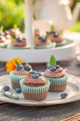 Brown cupcake made of cream and berries in summer garden