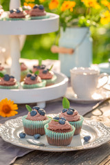 Fresh and tasty brown cupcake in summer garden