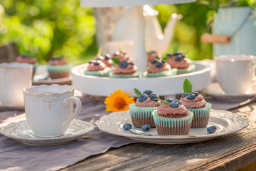 Delicious and homemade brown cupcake in summer garden