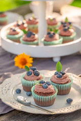 Tasty and fresh brown cupcake in summer garden