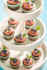 Homemade muffin made of chocolate cream and blueberries