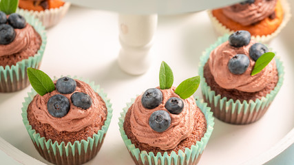 Closeup of homemade cupcake made of chocolate cream and berries
