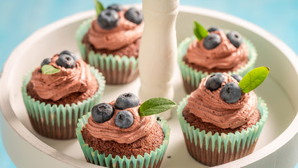 Cupcakes made of chocolate cream and berries on blue table