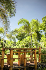 cheer and table made out of bamboo with palms in the background