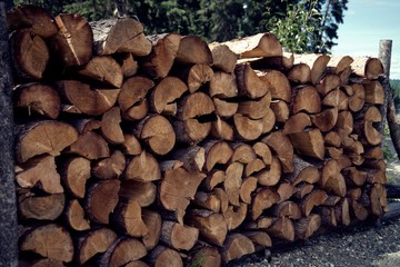 Cut wood piled up for winter