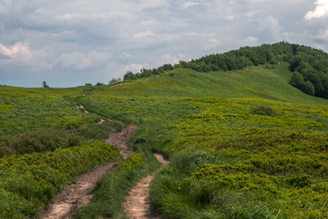 Bieszczadu Mountains in Poland