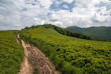 Bieszczadu Mountains in Poland