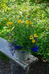 Fototapeta na wymiar flowers in pots resting on bench