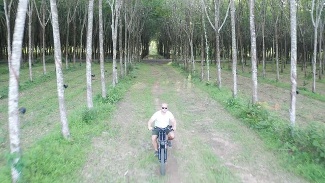 Drone view of man on electric bicycle in the forest. Attractive woman riding her e-bike in the forest