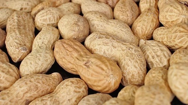 Groundnut peanut peanuts with nutshell peanut shell groundnuts