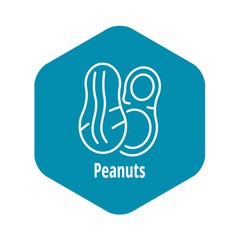 Peanuts icon. Outline peanuts vector icon for web design isolated on white background