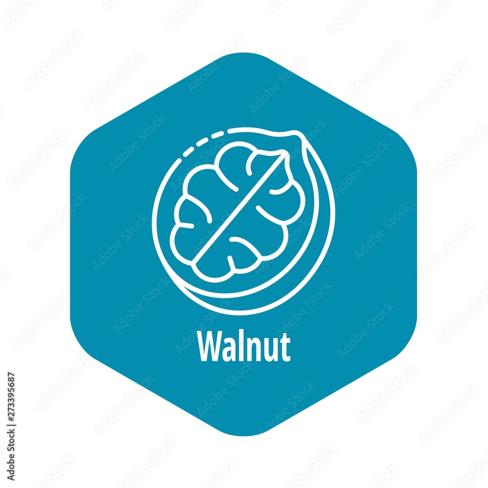 Poster walnut icon. outline walnut vector icon for web design isolated on white background