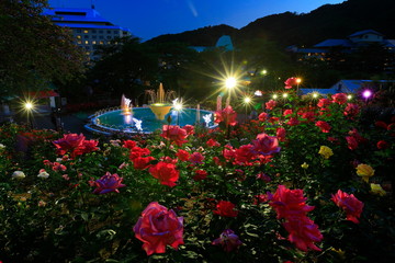 花巻温泉　バラ園のライトアップ