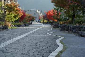 Fototapeta na wymiar 住宅地の石畳と散歩する人影が見える秋の風景です