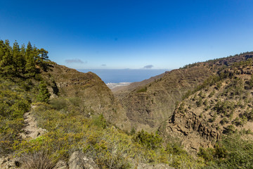 Fototapeta na wymiar Stony path at upland surrounded by pine trees at sunny day. Clear lue sky and some clouds along the horizon line. Rocky tracking road in dry mountain area with needle leaf woods. Canary Islands travel