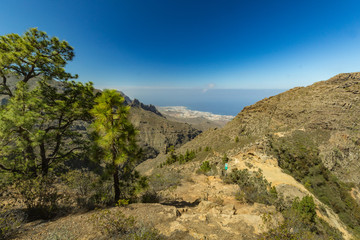 Fototapeta na wymiar Stony path surrounded by pine trees at sunny day. Clear lue sky and some clouds along the horizon line. Road in dry mountain area with needle leaf woods. Helicopter flying above canyon. Tenerife