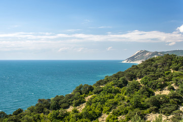 View from the mountain with trees to the sea under the blue sky with clouds. Horizontal frame.