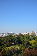 Fototapeta na wymiar City view of Tokyo, Japan