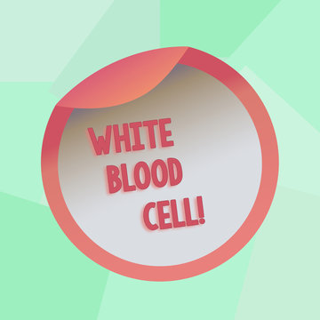 Conceptual hand writing showing White Blood Cell. Concept meaning Leucocytes in charge of protect body from infections Bottle Packaging Lid Carton Container Easy to Open Cover